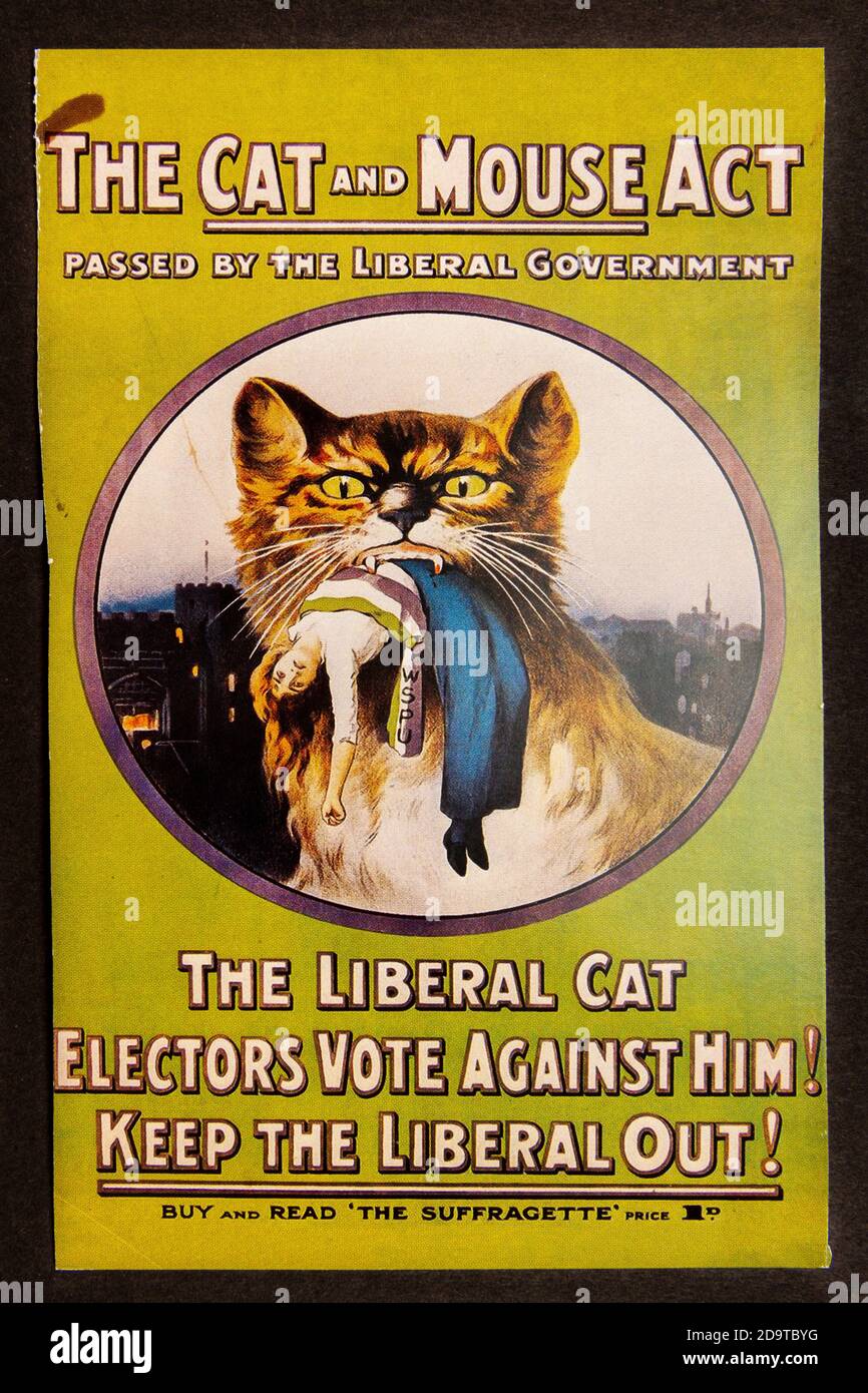 'The Cat and Mouse Act' poster , replica memorabilia relating to the Suffragette Movement in Britain. Stock Photo