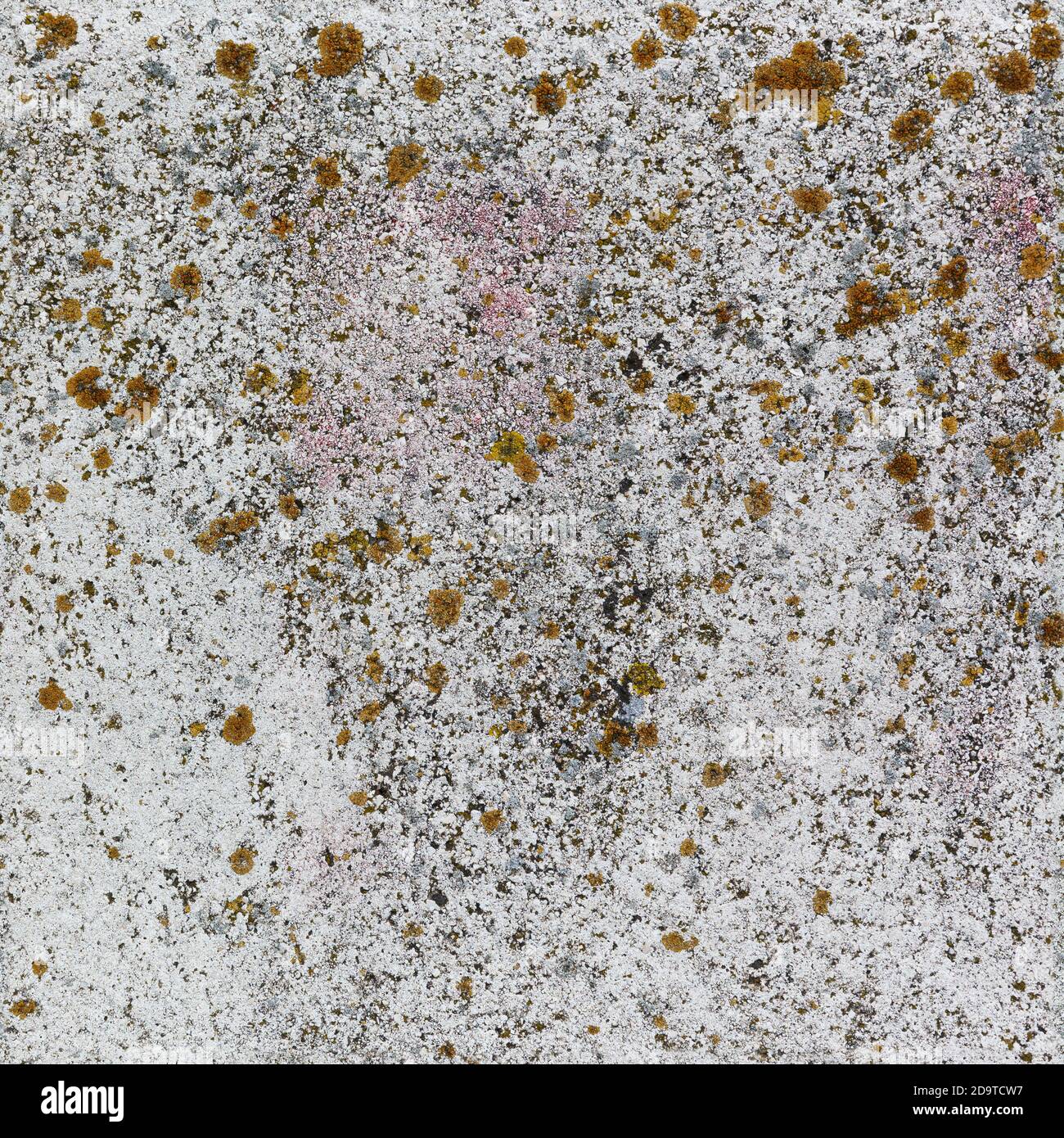 old gray stone wall with moss. Seamless texture Stock Photo - Alamy
