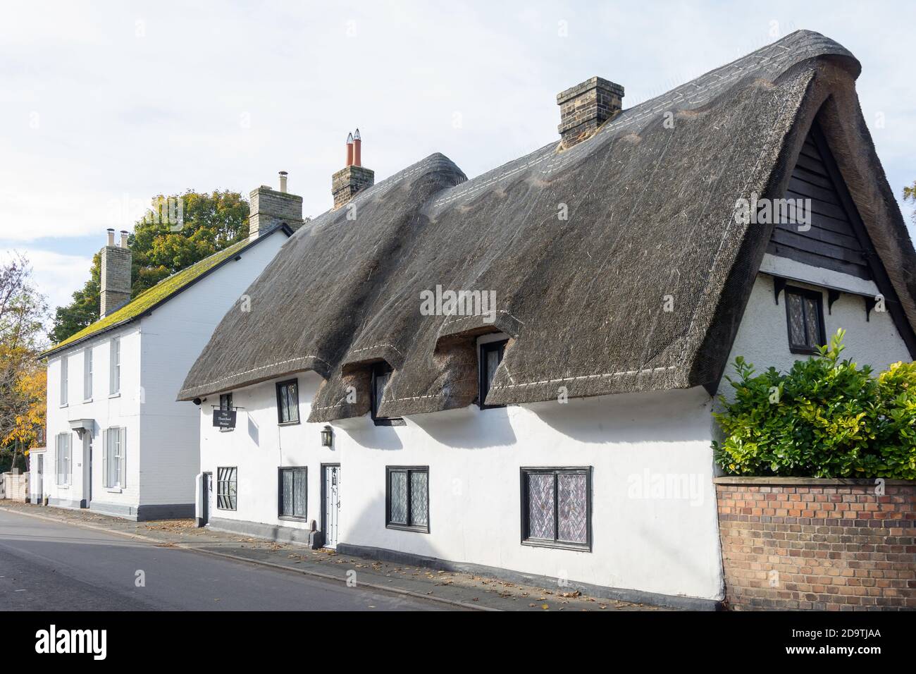 Period house and thatched cottage, High Street, Melbourn, Cambridgeshire, England, United Kingdom Stock Photo