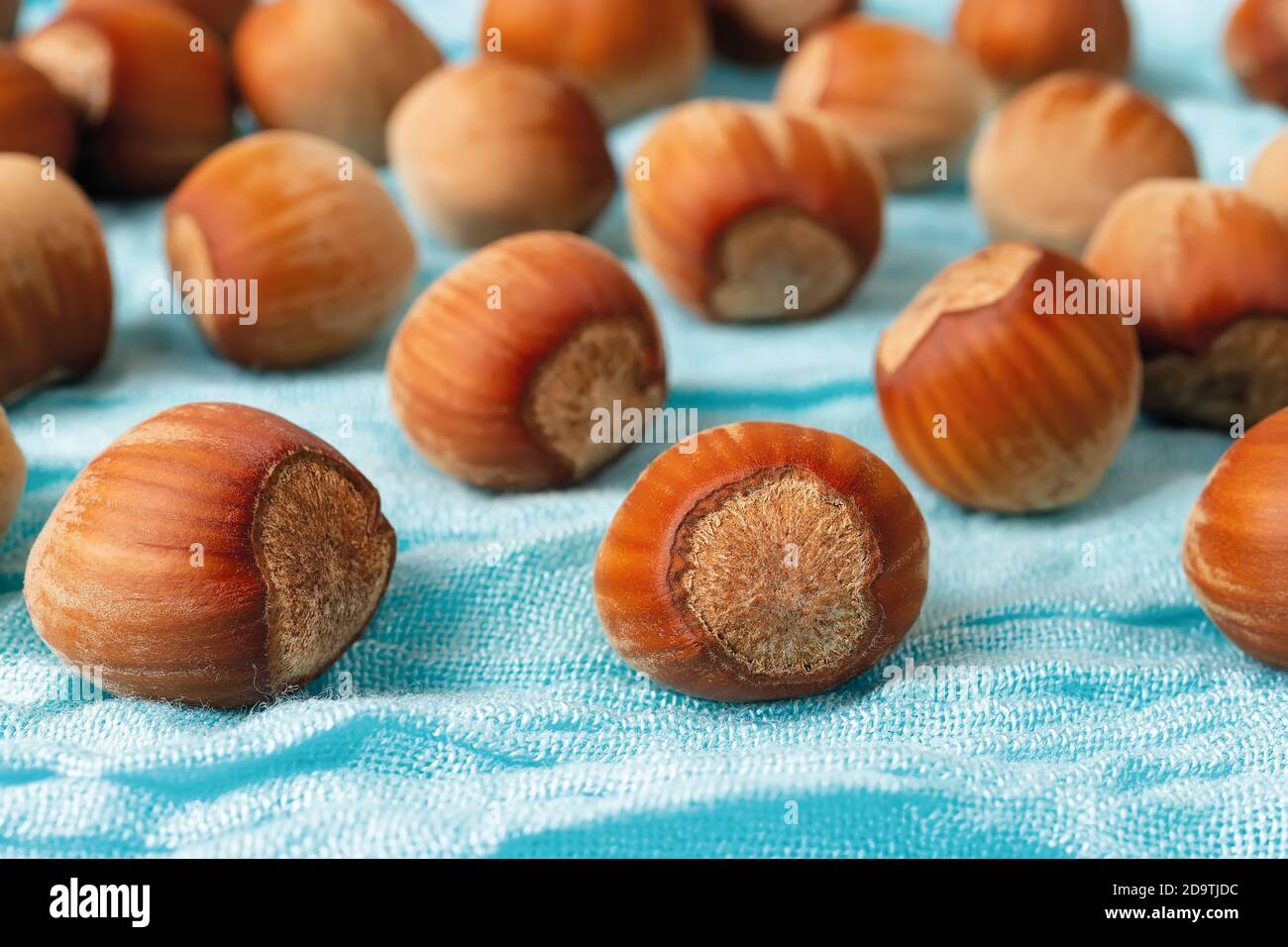 Whole unpeeled hazelnuts scattered on a turquoise textile background. Nuts as an antioxidant and protein source for ketogenic diet and vegetarianism. Stock Photo