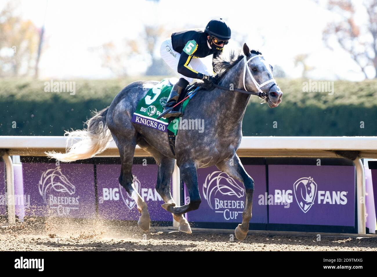Usa. 7th Nov, 2020. November 7, 2020 : Knicks Go, ridden by Joel ...