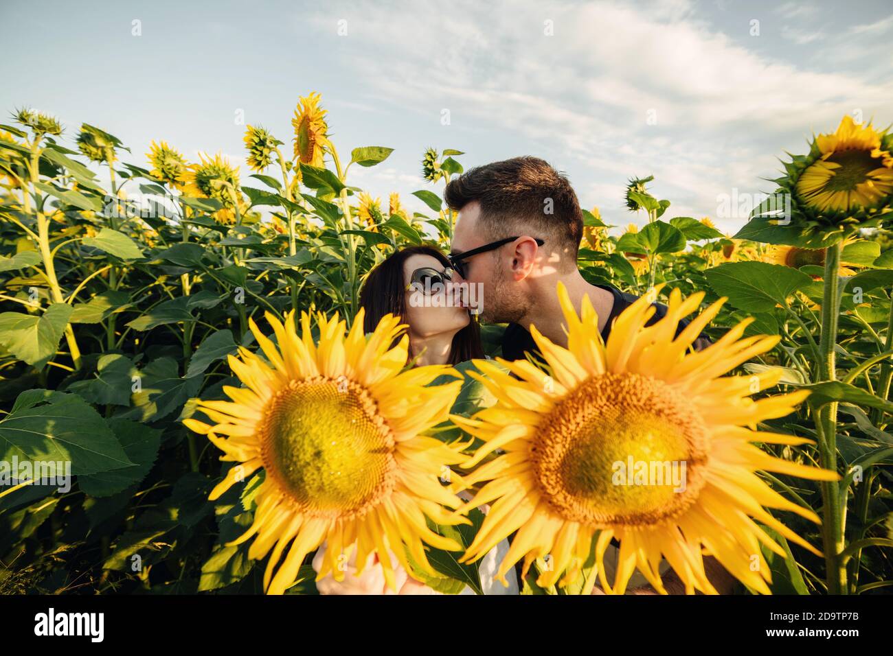Beautiful couple is kissing in sunflowers field at sunset. A man and a ...