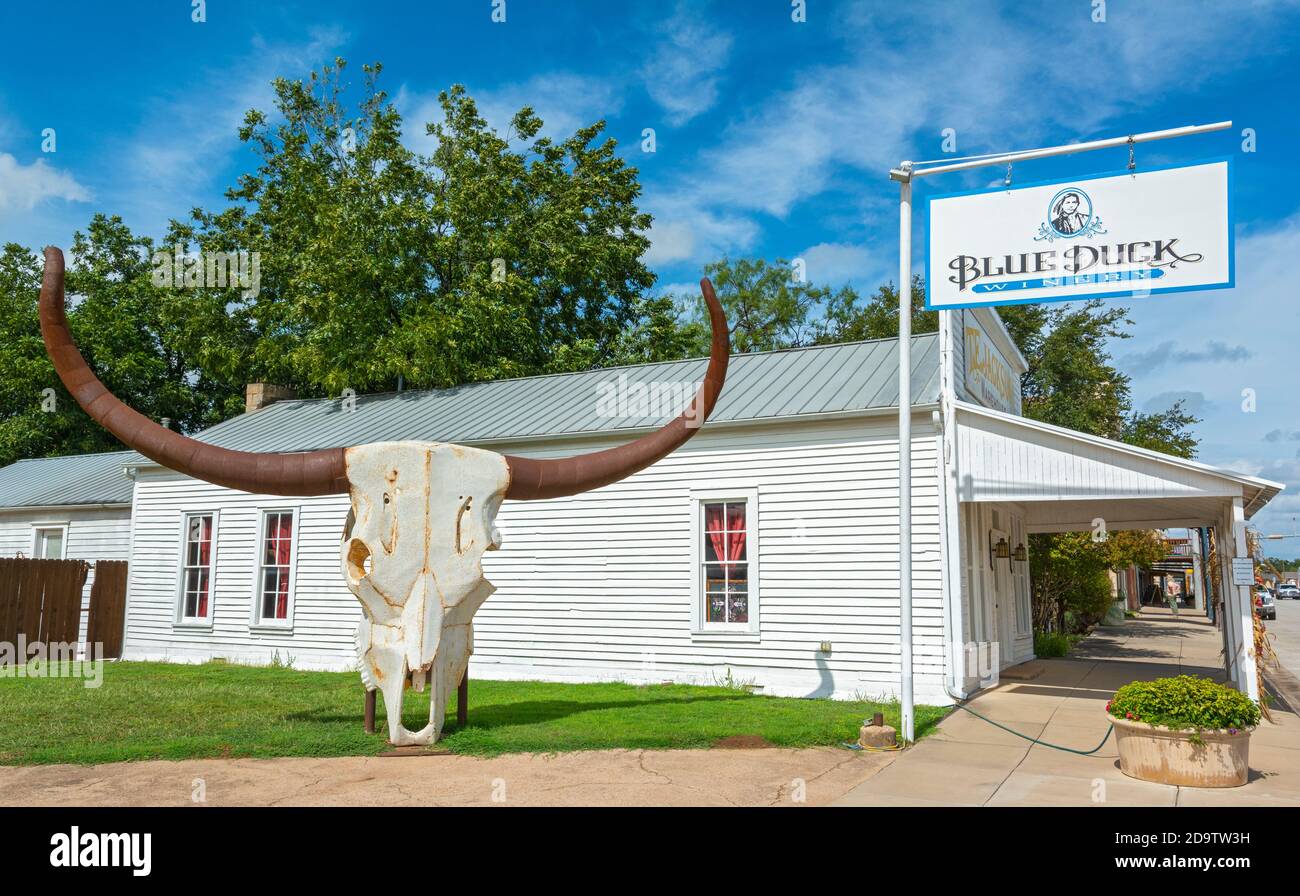Texas, Shackelford County, Albany, Blue Duck Winery Stock Photo