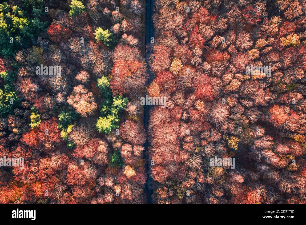 View Red Aerial view amazing bright red hi-res stock photography and images - Alamy