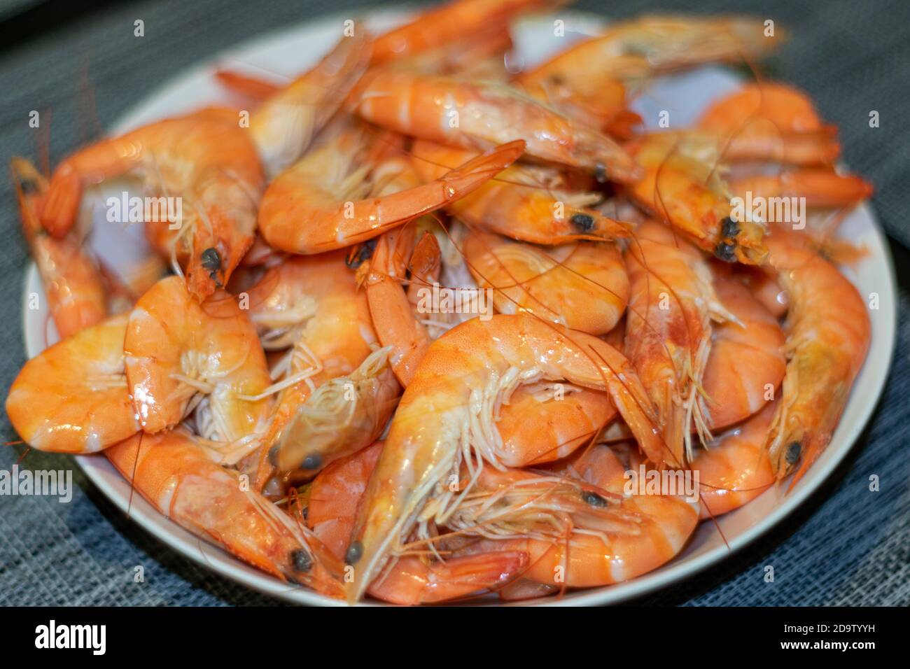 boiled shrimps in white plate Stock Photo