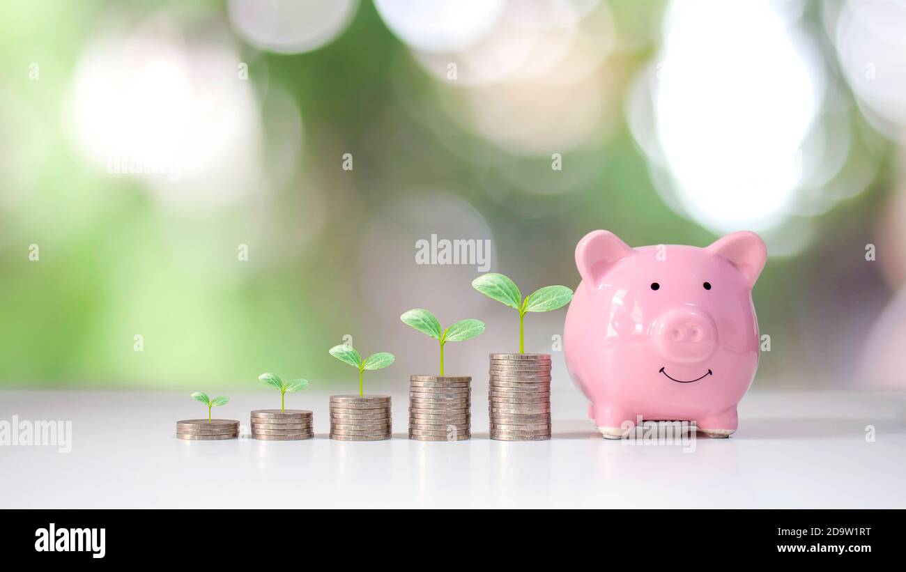 How Saving Money in 3 Different 'Piggy Banks' Can Transform You Financially