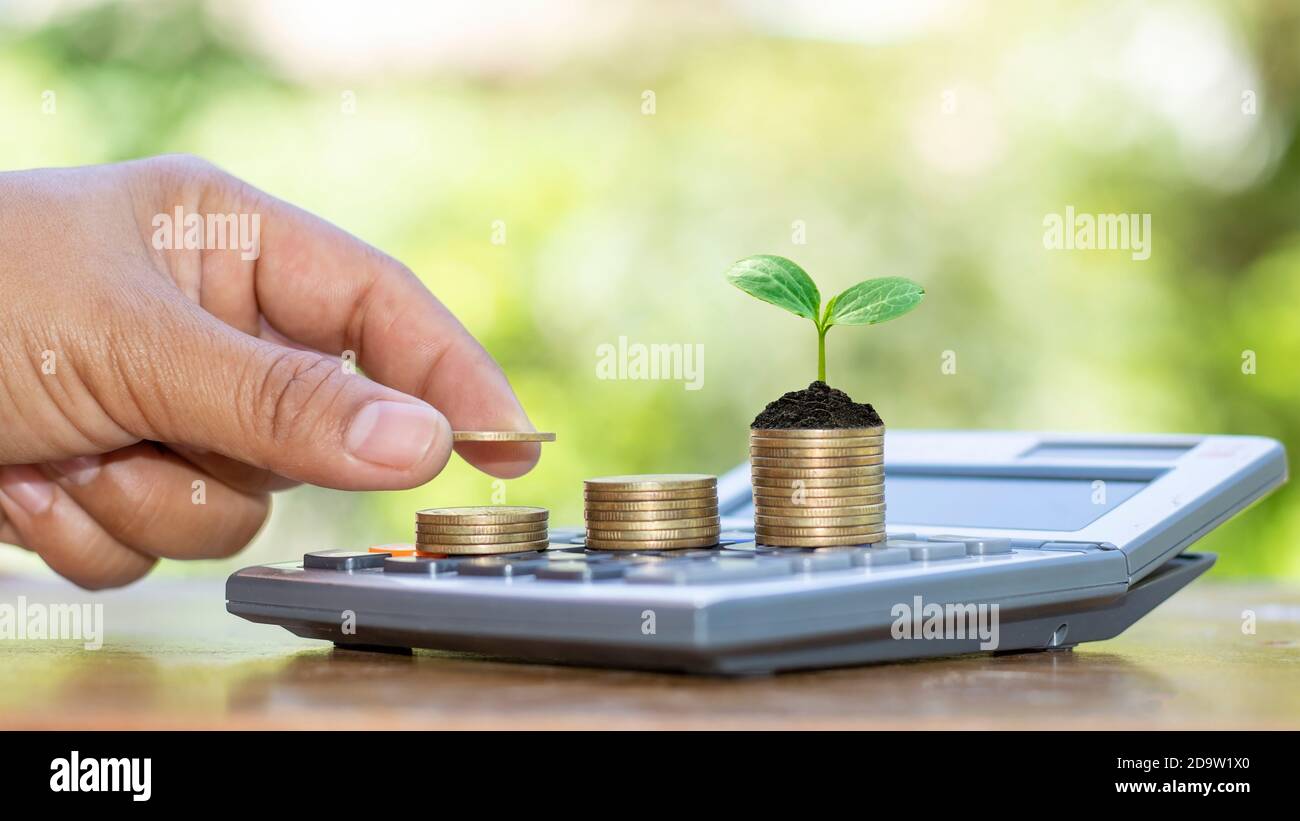A tree growing on a pile of coins and a man's hand placing coins on a pile of coins economic growth idea. Stock Photo
