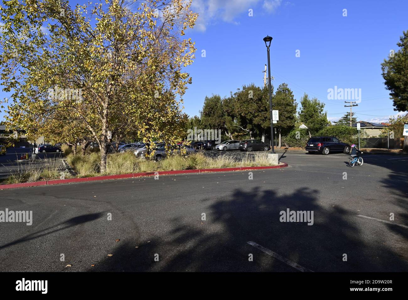 Fall Colors around Cupertino Library Stock Photo Alamy