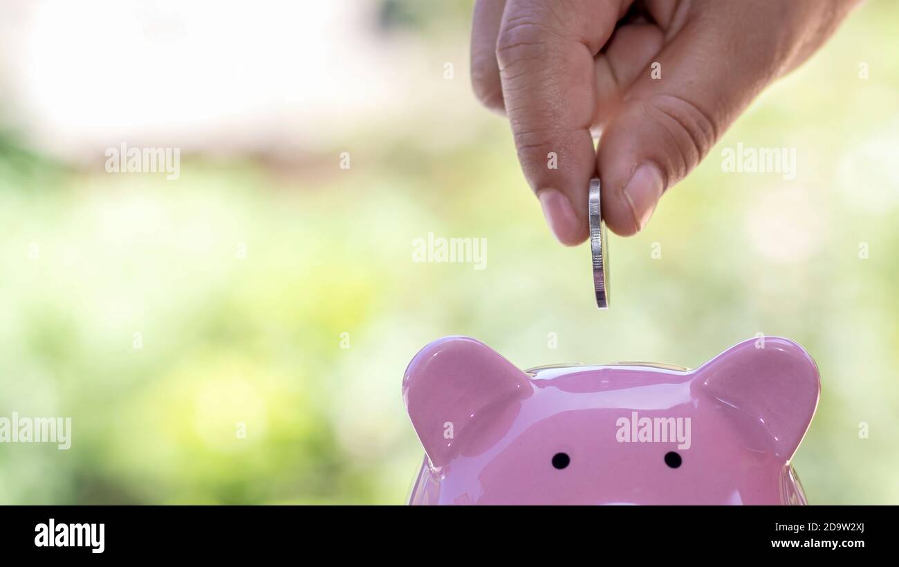 Pig With Coin Getting In Saving, male hand put coins into pig piggy bank including blurred green ...