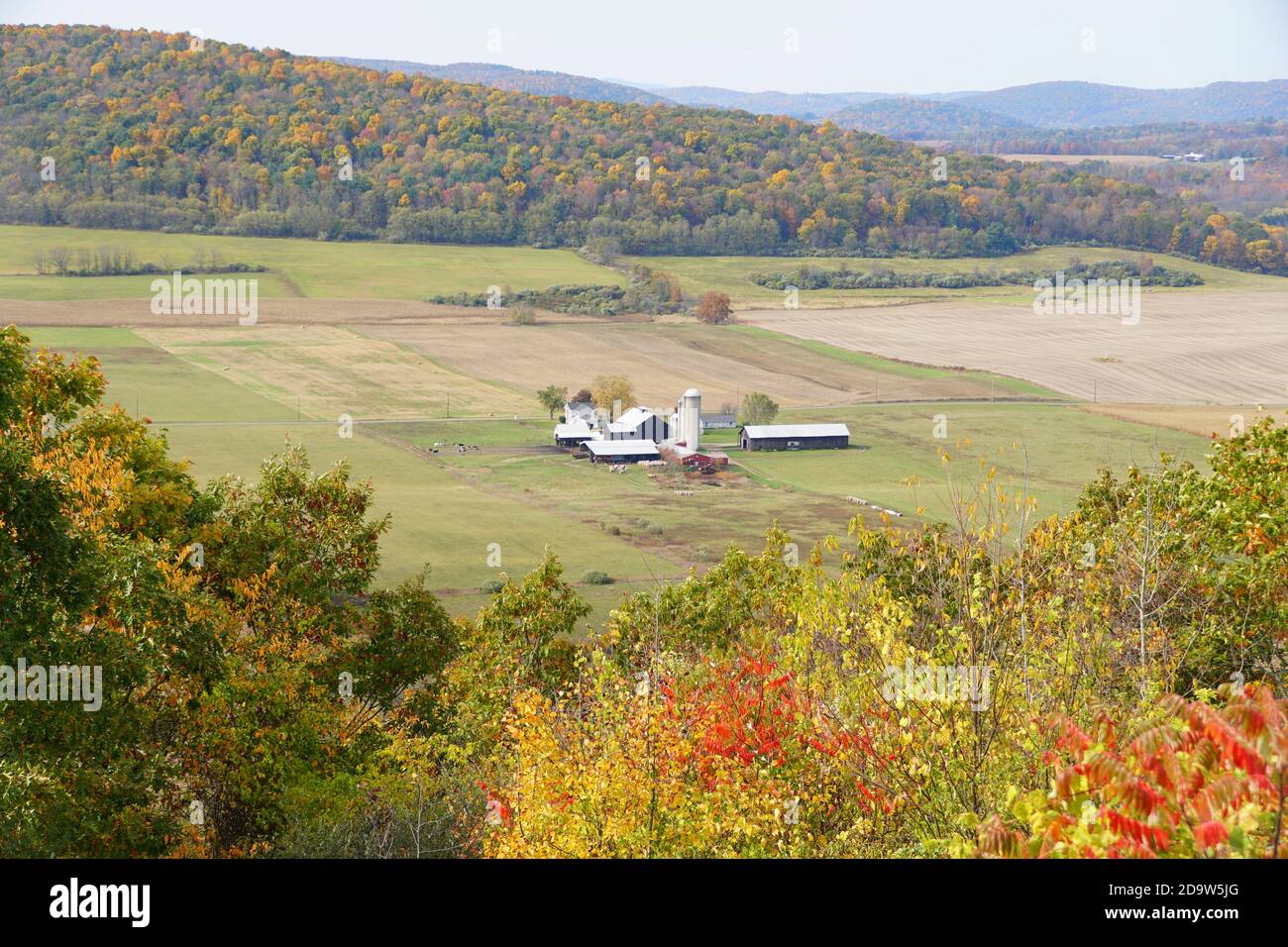 The distance view of a farm surrounded by striking color of fall