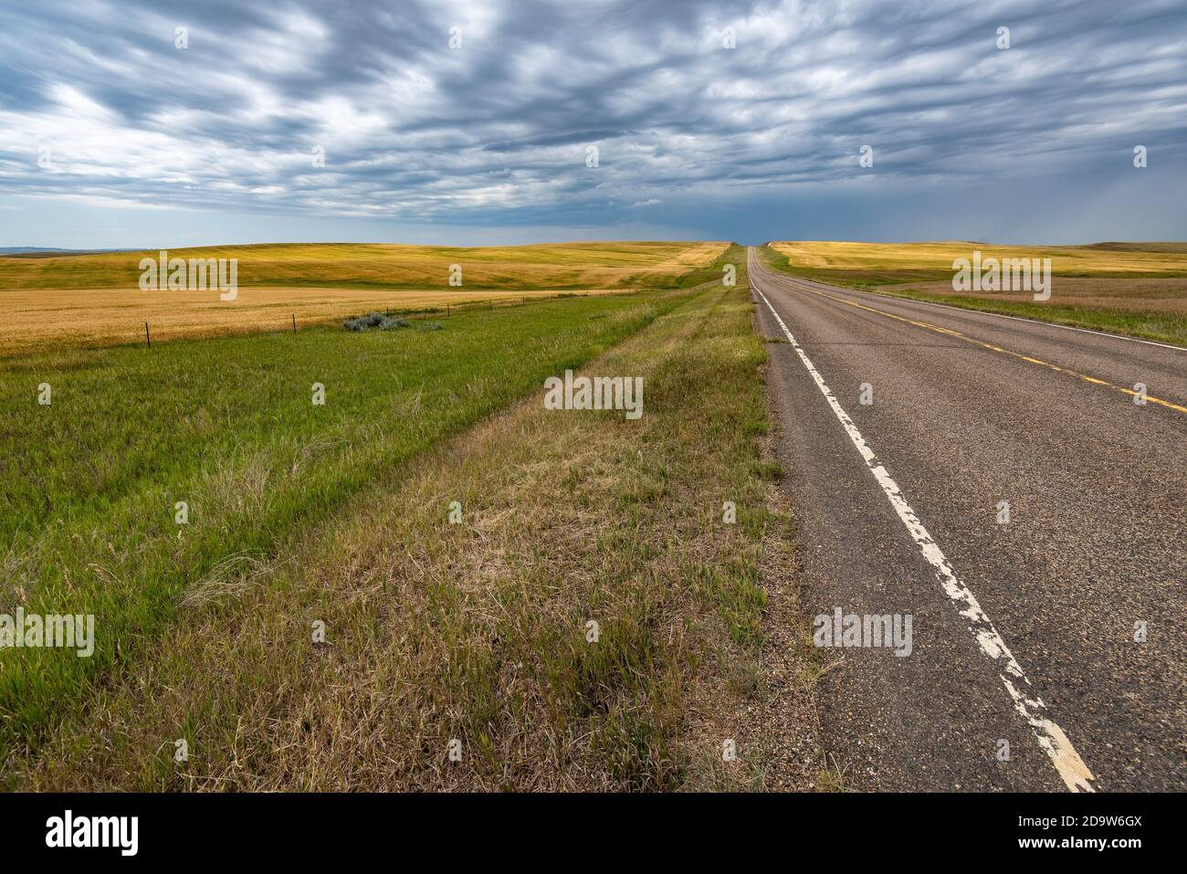 Highway Passes through Wheat Fields in Western North Dakota Stock Photo