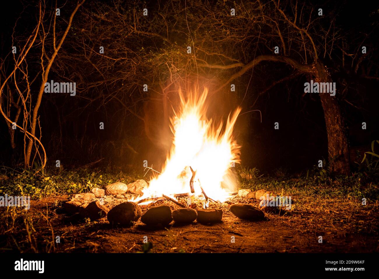 Flames of a campfire at night in a dark spooky forest surrounded by