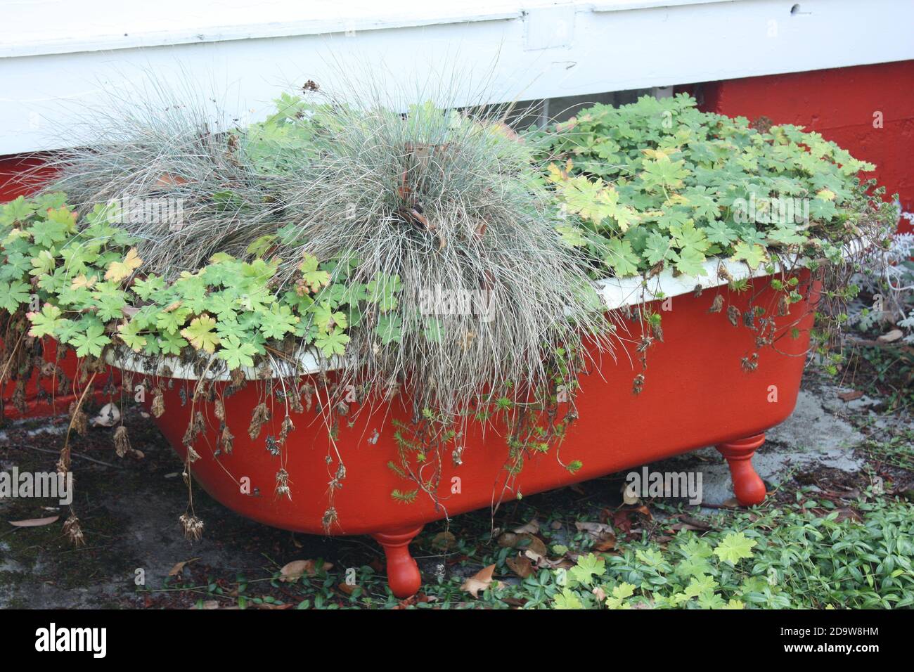 An old bath used as a planting tray outside the Protection Island Museum in Gallows Point Light Park near Nanaimo, British Columbia Stock Photo