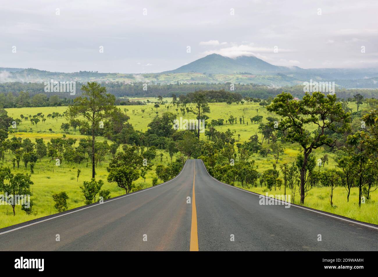 Lane blacktop in the forest with beautiful mountain background. Stock Photo