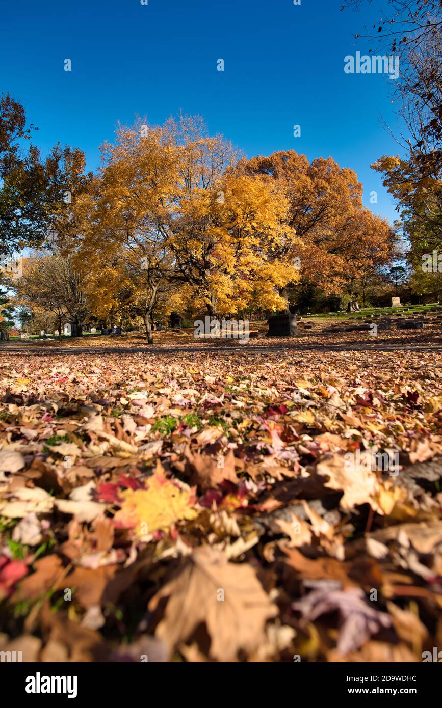 Fall color in ohio Stock Photo Alamy