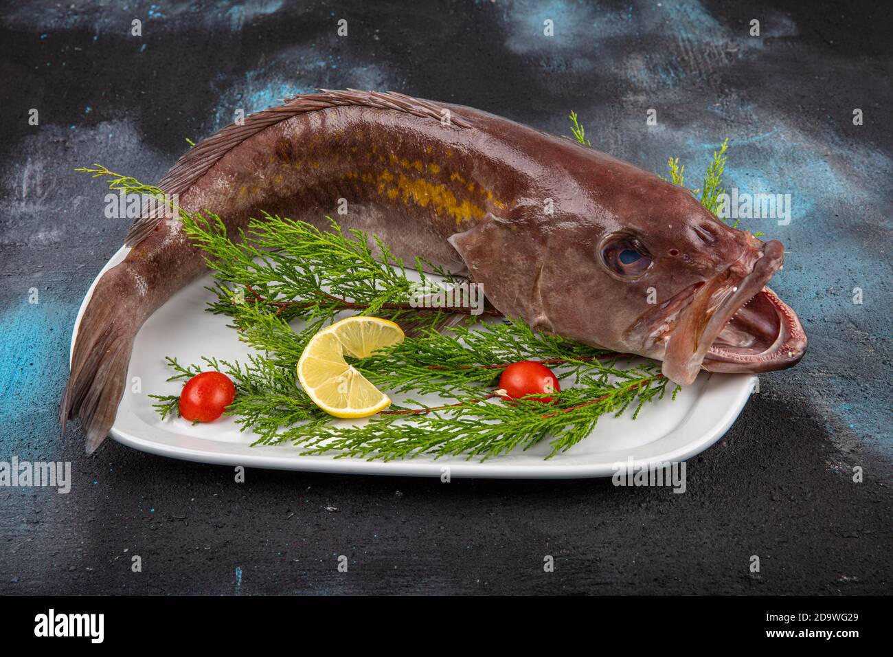 Close Up Grouper Fish, Seafood, Fish in Market, Top View Grouper Fish in Market. (Lagos Fish). Stock Photo
