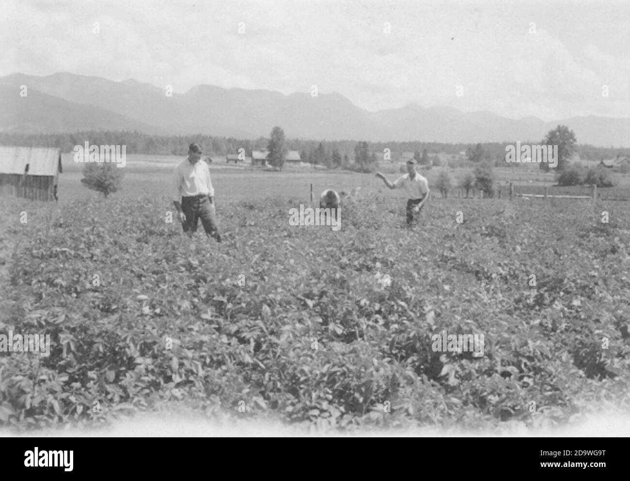 Creston Montana Stock Photo Alamy