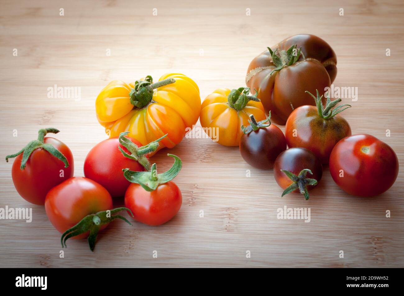 Healthy food with historical colorful organic tomatoes fresh from the garden. Stock Photo