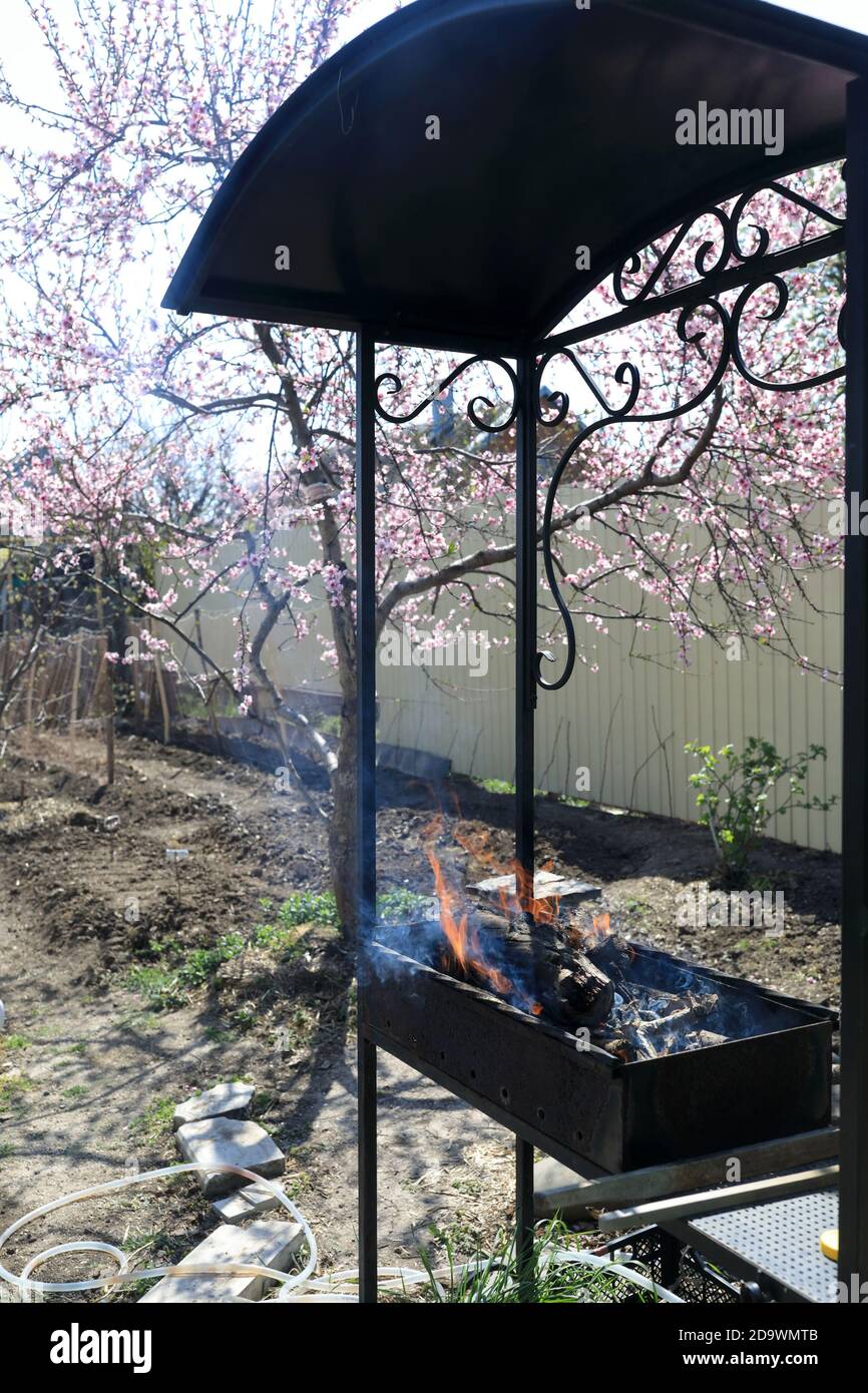Barbecue with burning fruit trees in backyard Stock Photo Alamy