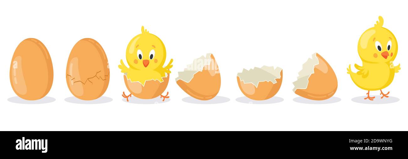 Cartoon hatched easter egg. Cracked chicken eggs with cute chicken mascot, newborn baby chick bird hatching from egg vector illustration set Stock Vector