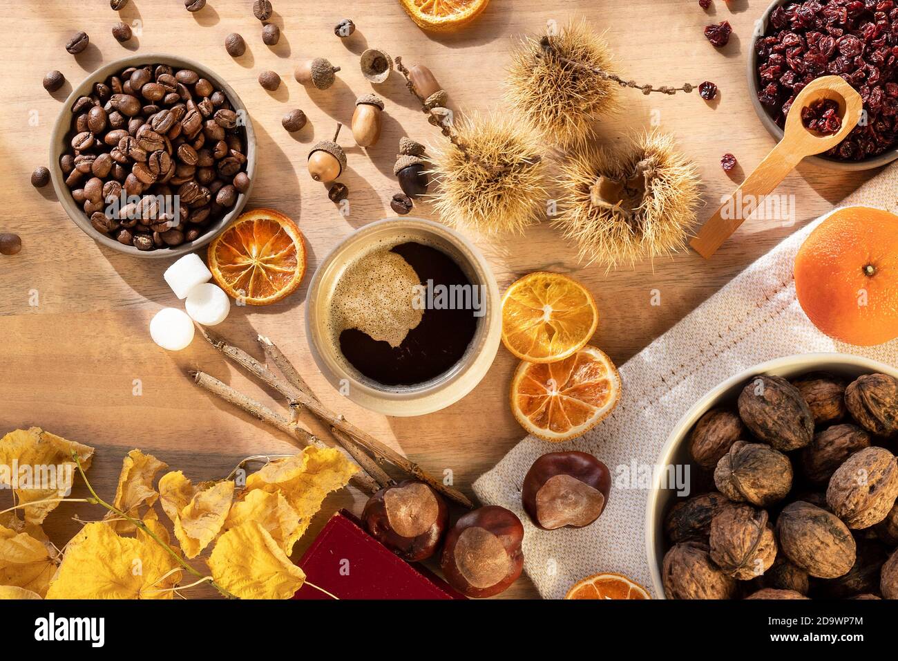 A cup of coffee amidst objects illustrating fall and reading in the ...