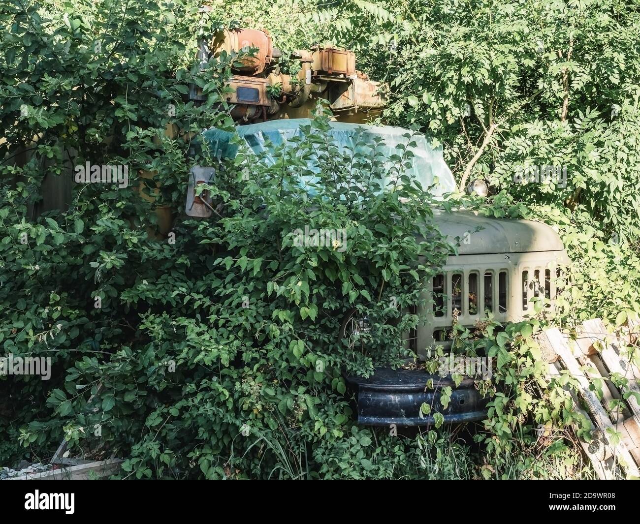 Iron old abandoned Soviet truck in dense thickets of bushes Stock Photo ...