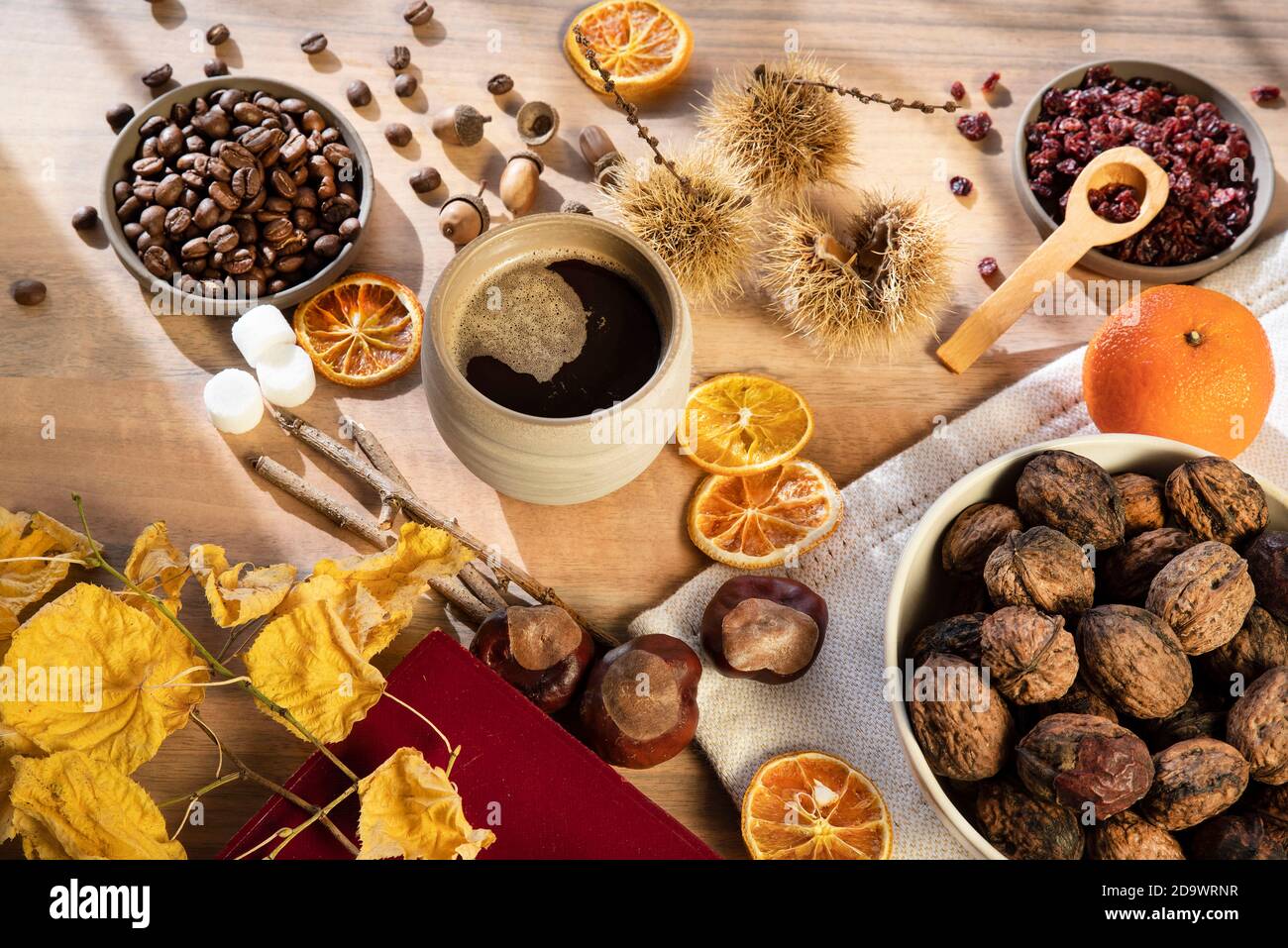 A cup of coffee amidst objects illustrating fall and reading in the ...