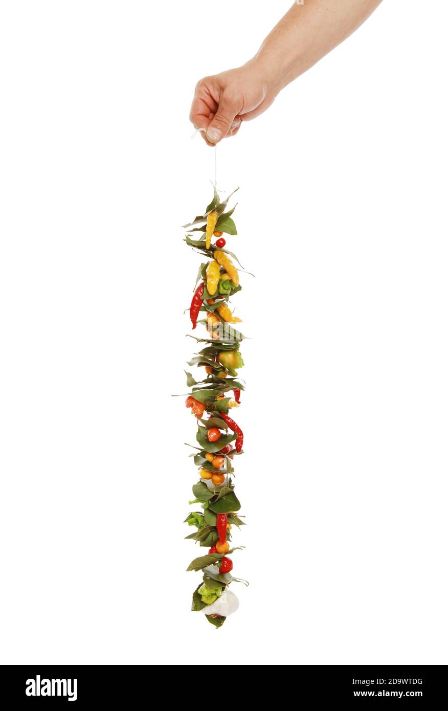 Vertical shot of a hand holding a string of dried chili peppers ...