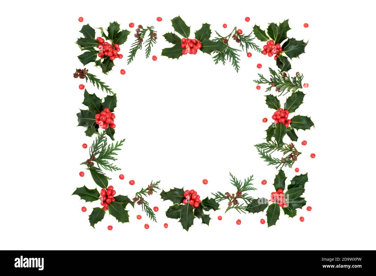 Winter, Christmas & New Year square holly berry & cedar leaf wreath with loose red berries on white background. Festive theme & border for the holiday. Stock Photo
