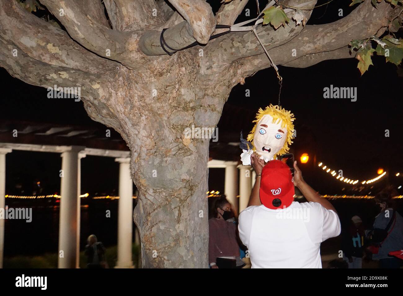 Oakland, California, USA. 7 Nov, 2020. Joe Biden/Kamala Harris supporters fill the streets to celebrate their victory over Donald Trump in the USA Presidential Election. A man takes a picture of the head of a Donald Trump piñata hanging from a tree in Vice President-elect Kamala Harris' hometown. Credit: Kristin Cato/Alamy Live News Stock Photo