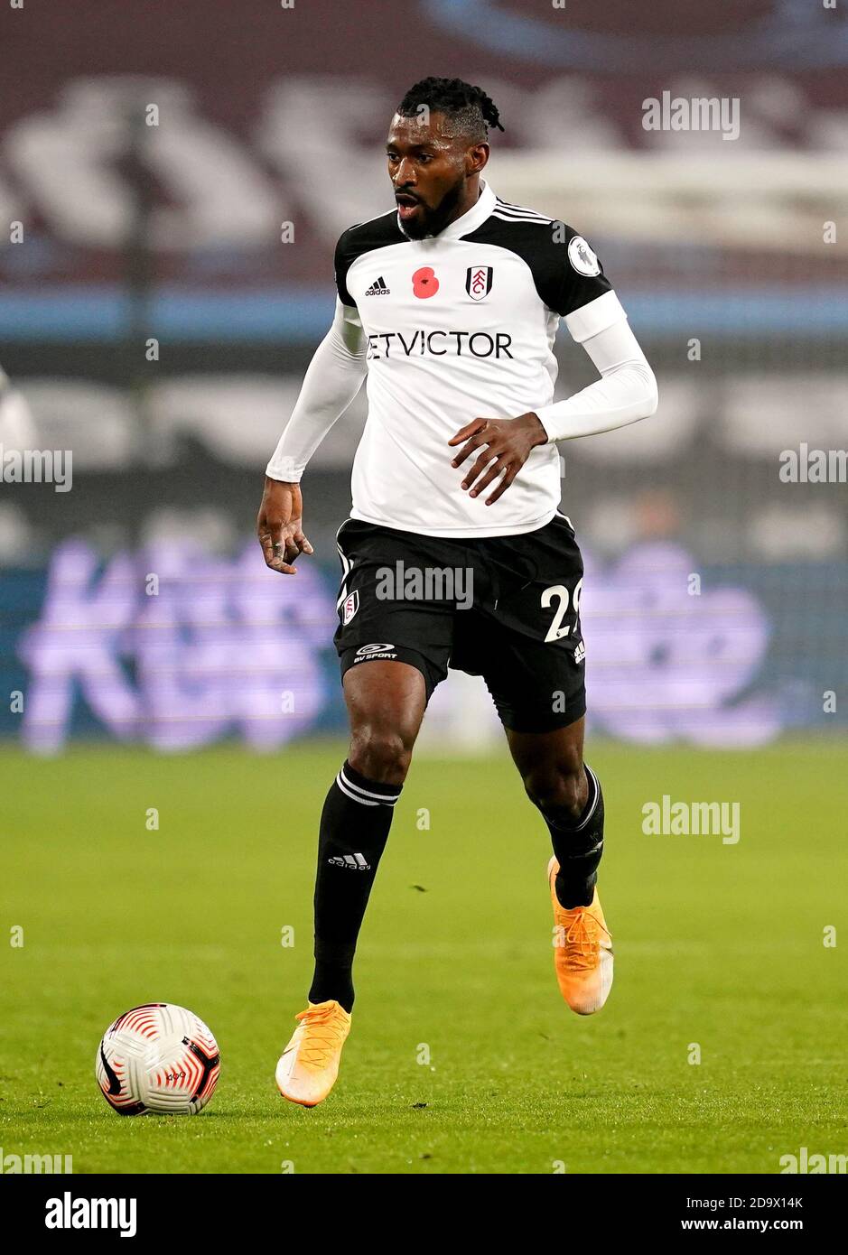 Zambo Anguissa High Resolution Stock Photography And Images Alamy
