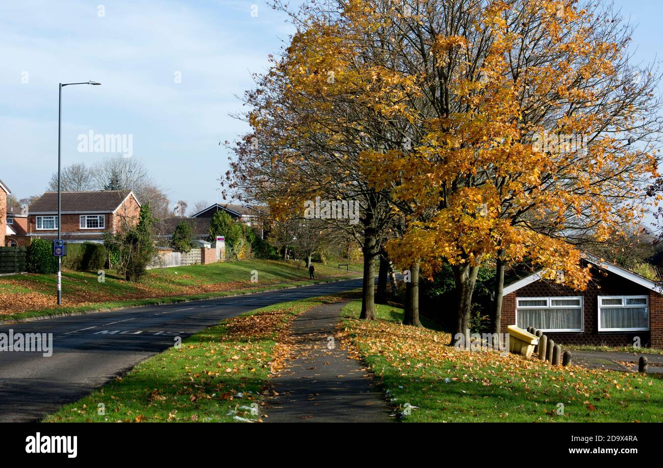 Woodloes Park Estate in autumn, Warwick, Warwickshire, England, UK