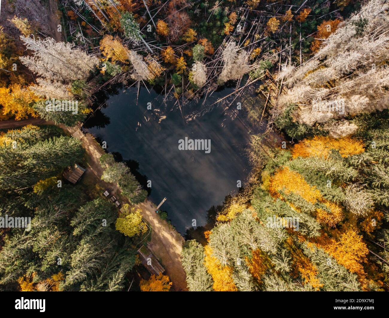 Fall forest landscape with lake view from above.Colorful nature background.Autumn aerial drone view.Idyllic fall scenery from a birds eye view.Holiday Stock Photo