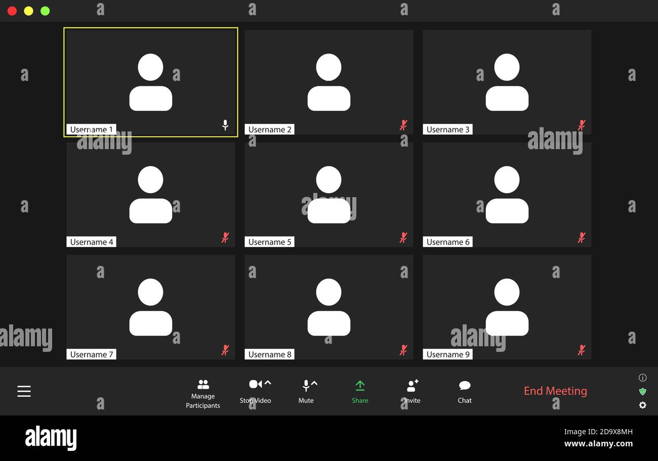 Template video conference user interface, video conference calls window