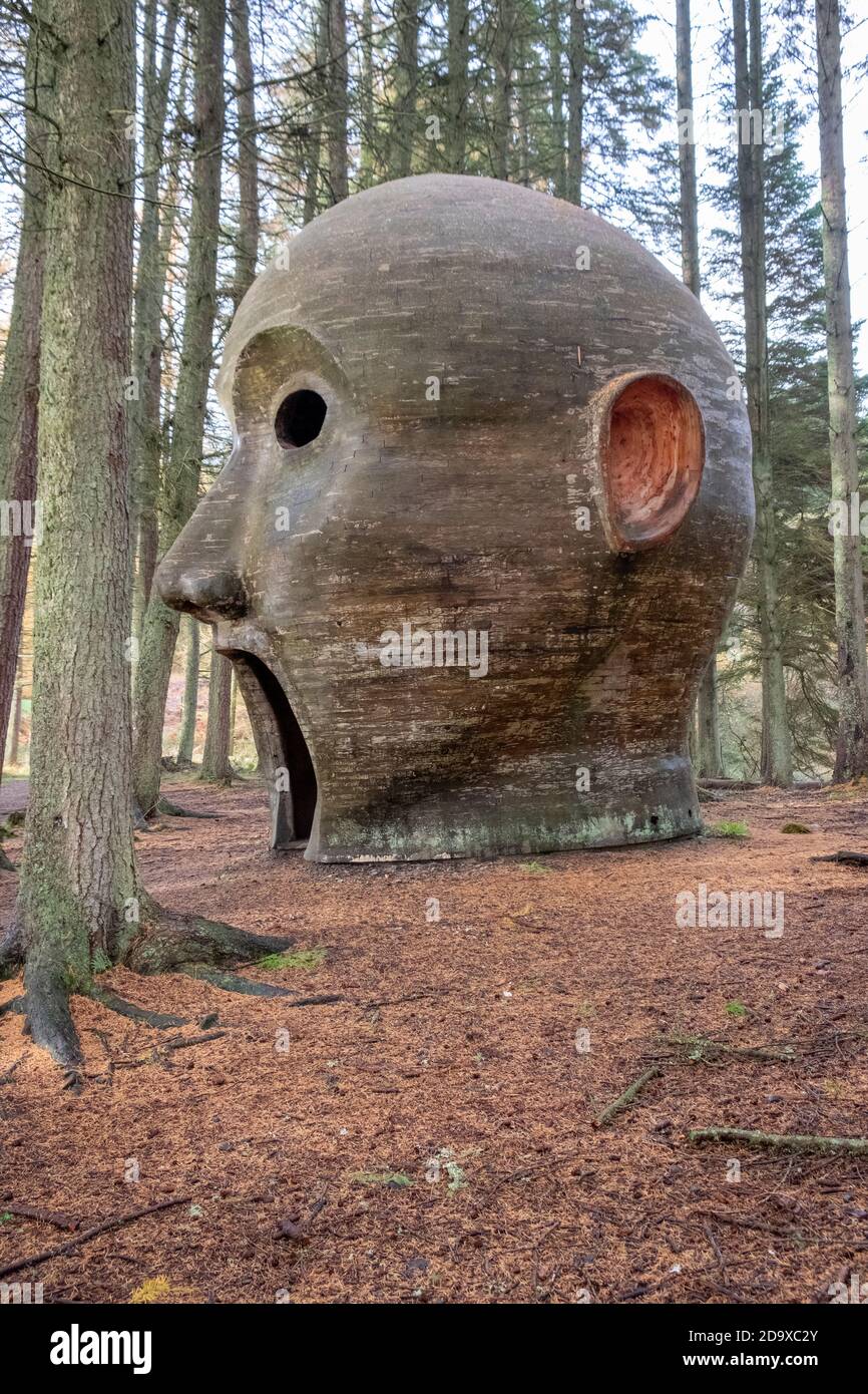 The Silvas Capitalis, wooden head sculpture, Kielder, Northumberland