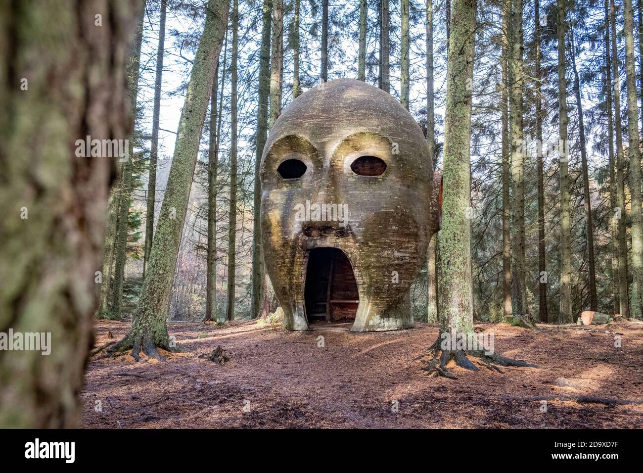 The Silvas Capitalis, wooden head sculpture, Kielder, Northumberland