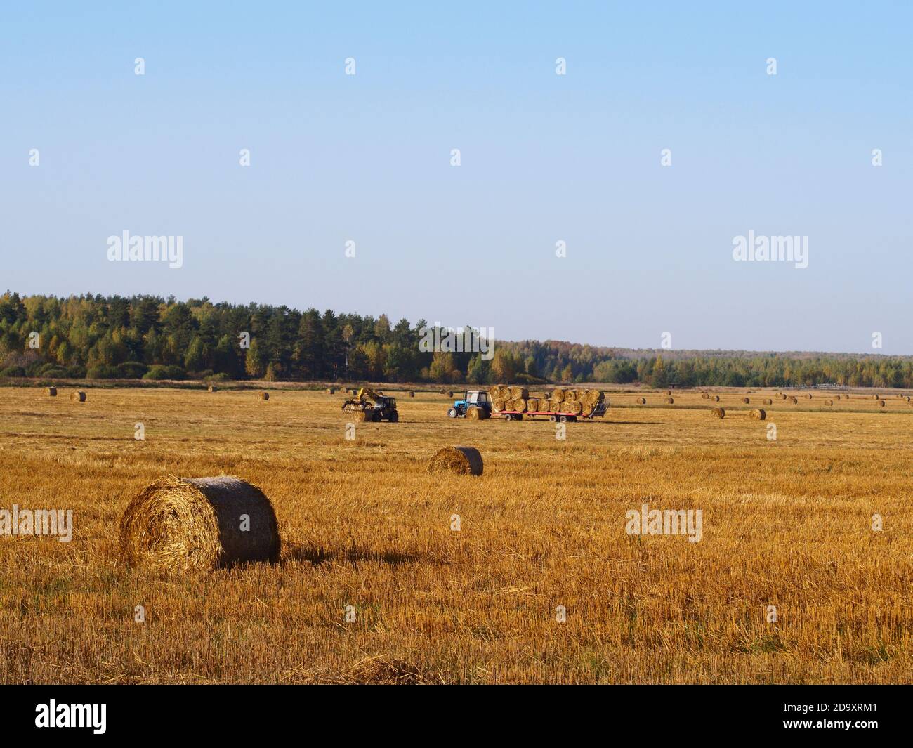 Tractor harvesting straw bales, autumn agriculture background Stock Photo