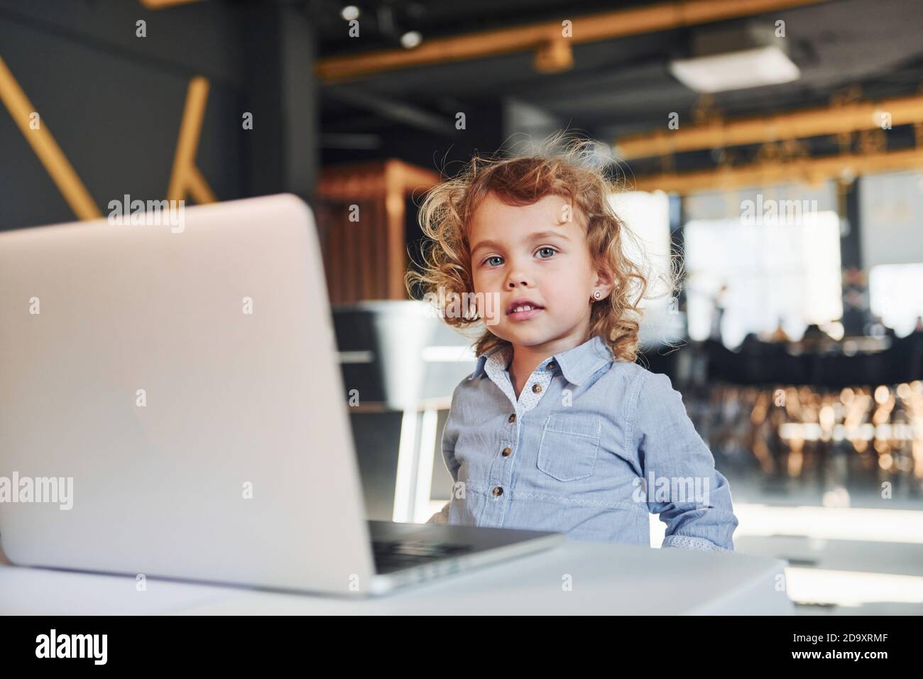 Smart child in casual clothes using laptop for education purposes or fun Stock Photo