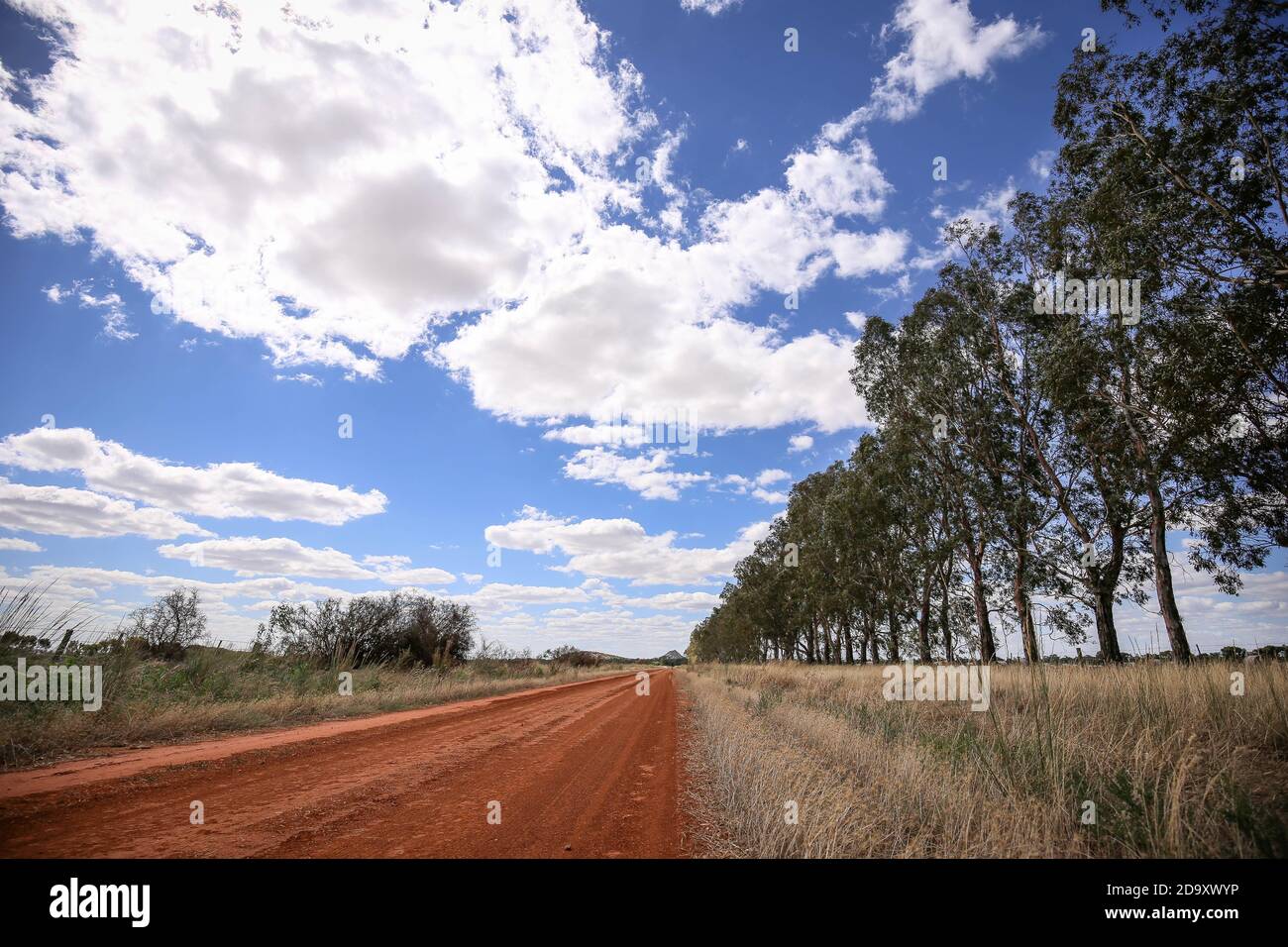 Road in a field under blue sky and white clouds Stock Photo - Alamy