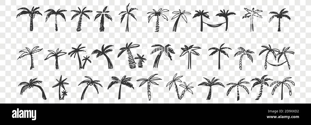 Hand drawn palm trees doodle set Stock Vector Image & Art Alamy
