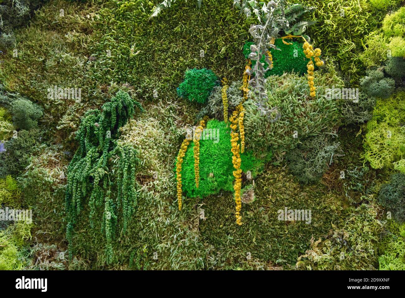 texture of wall decorated with flotal moss Stock Photo