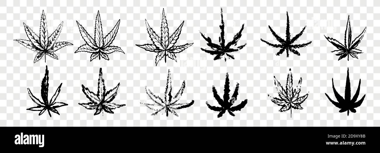 Hand drawn marijuana, cannabis set collection Stock Vector