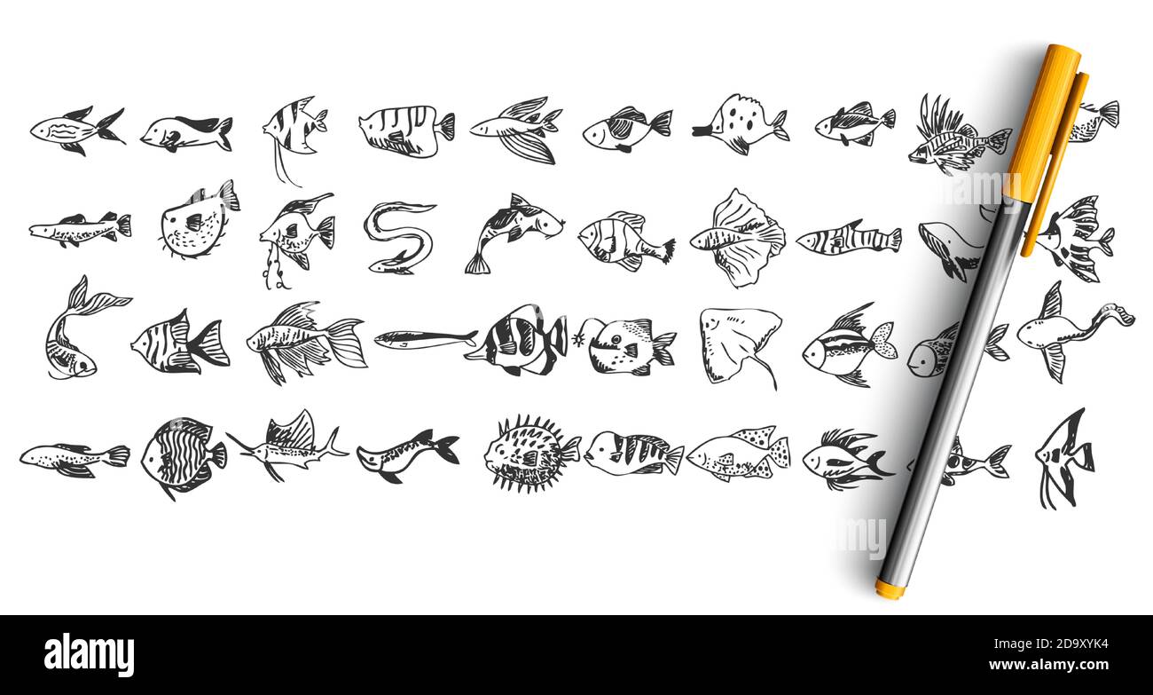 Fish doodle set Stock Vector Image & Art Alamy