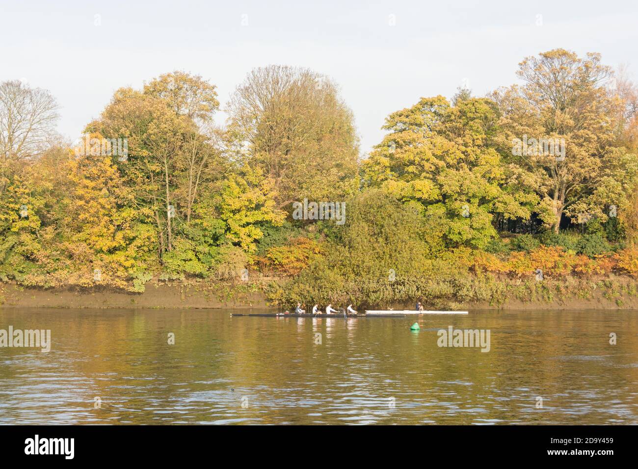 A men's coxed four on the River Thames in Mortlake, southwest London, UK Stock Photo