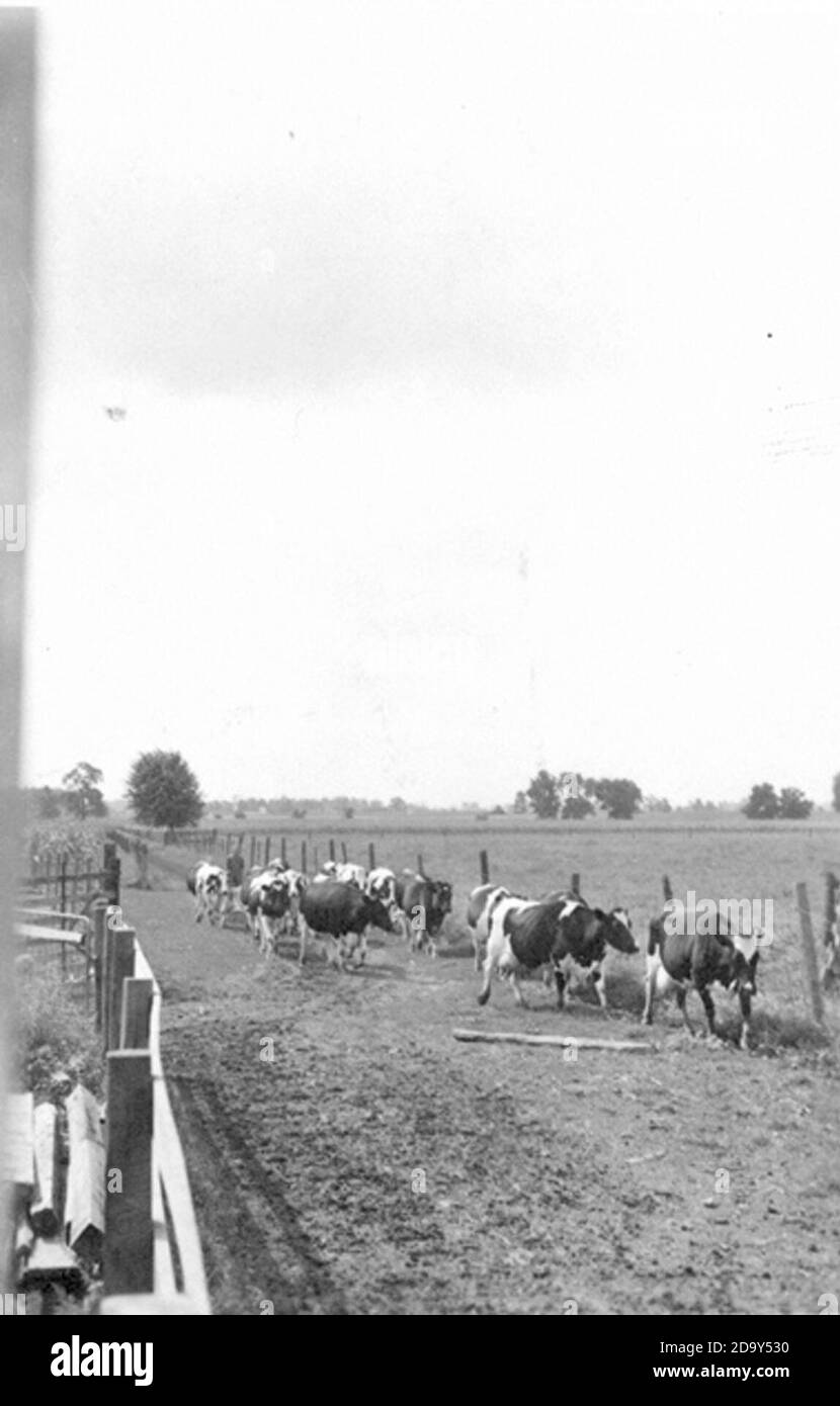 Kokomo, in hires stock photography and images Alamy