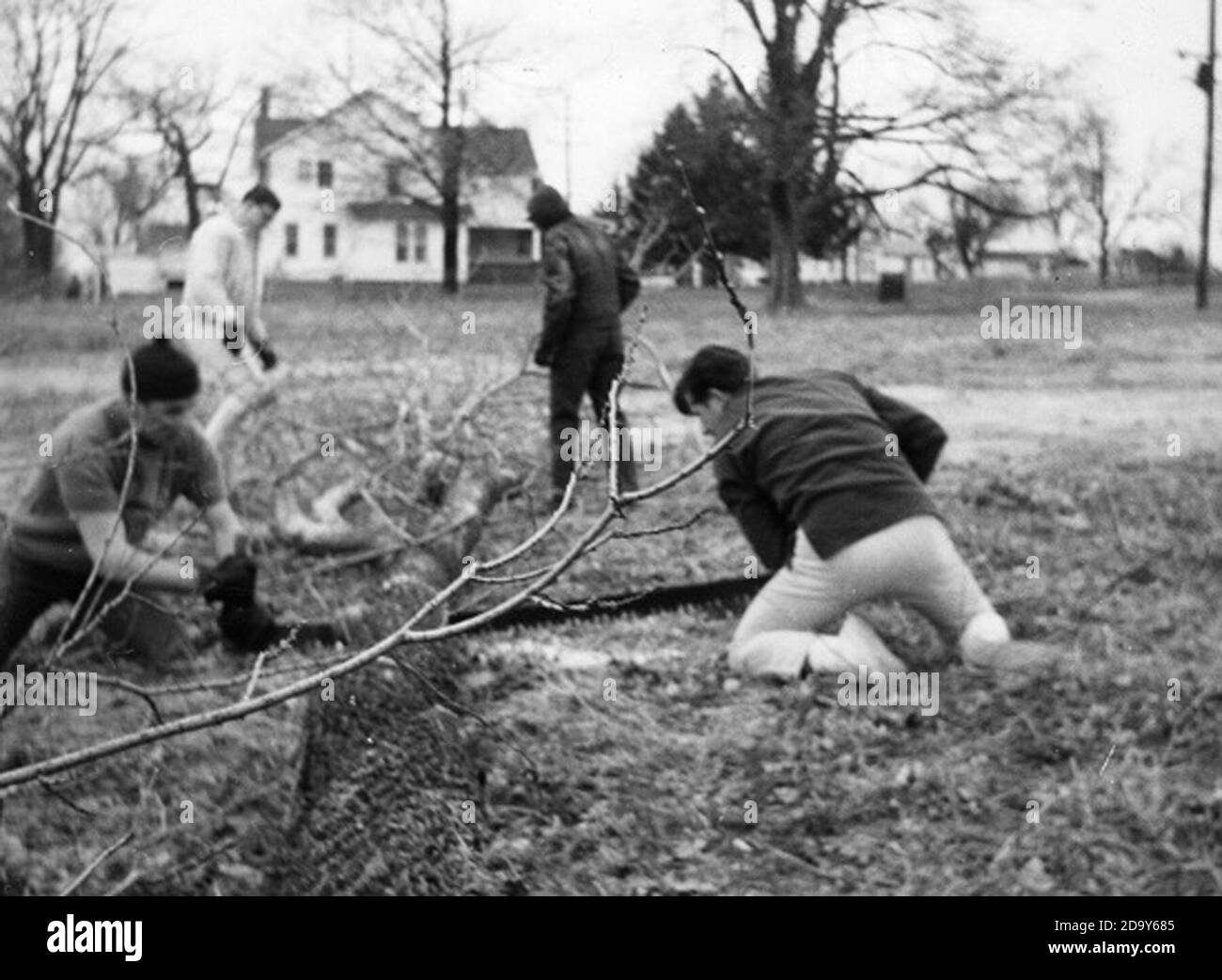Making firewood Eureka IL Stock Photo Alamy