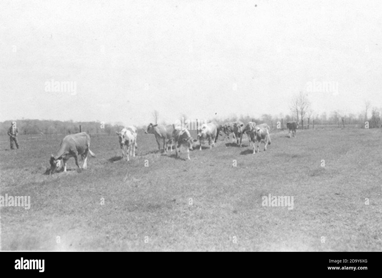 Meadville PA Stock Photo Alamy
