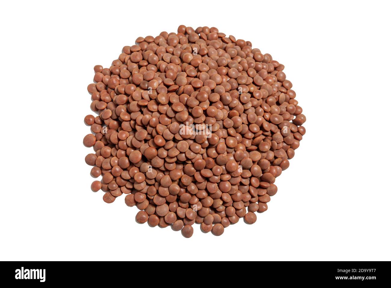 brown lentil beans isolated on white background Stock Photo