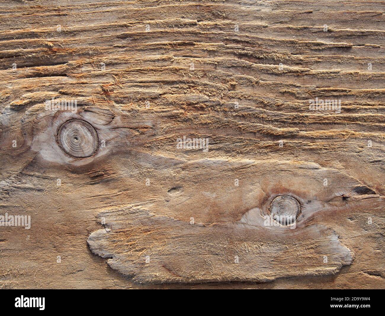 Grain eroded wood background, rough wooden texture, driftwood pattern Stock Photo