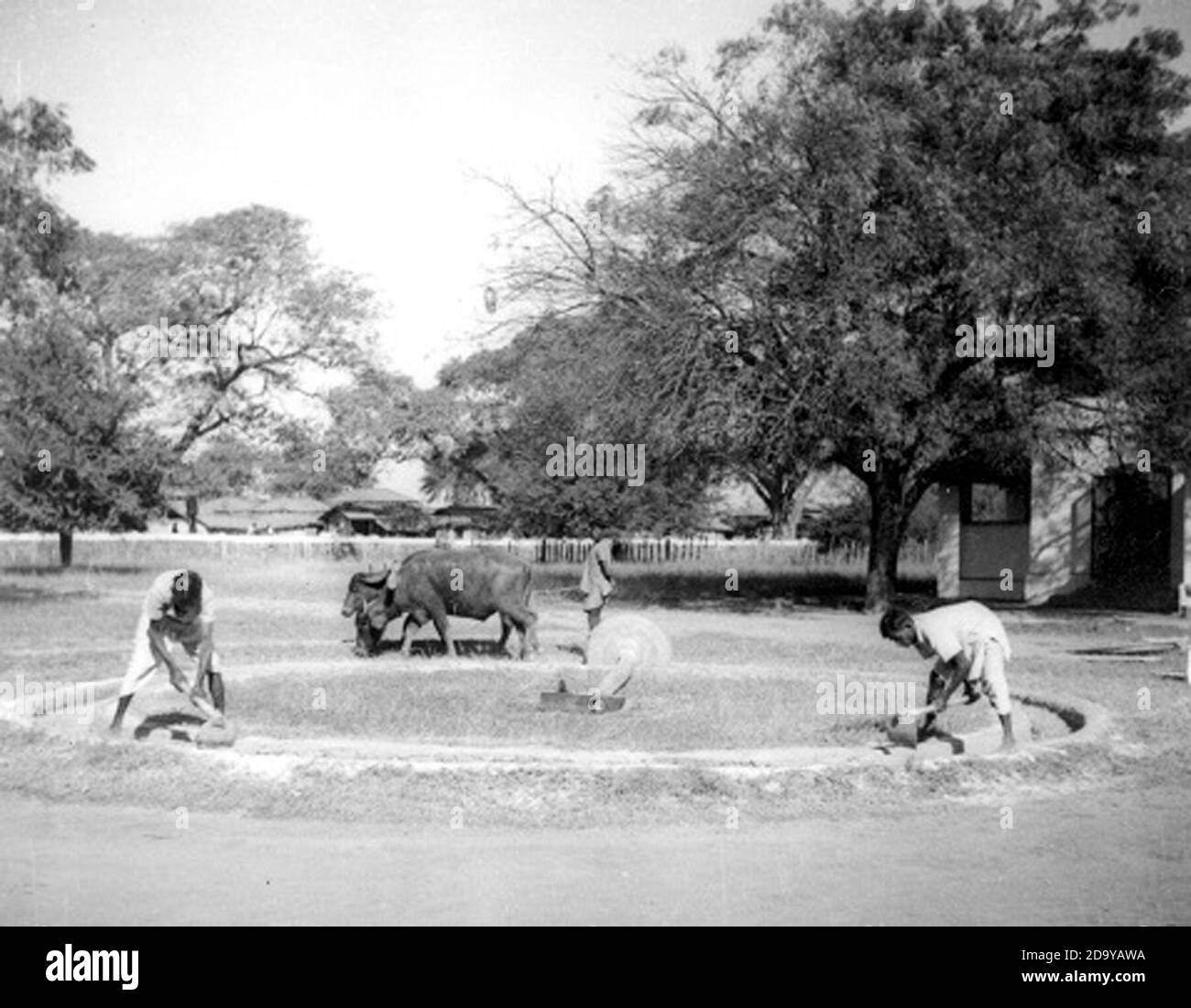 Mixing lime and sand make mortar India Stock Photo Alamy